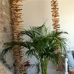 Nyaraló Casa Di Pietra Mykonos