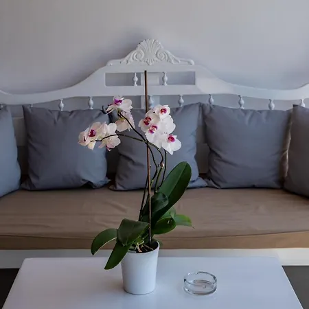 Casa Di Pietra Mykonos 3* 克洛瓦斯